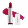 Ethnic Choice Velvet Matte Lipstick, Deep Fantasy, 4.2g