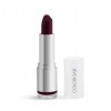 Ethnic Choice Velvet Matte Lipstick, Check Mate, 4.2g