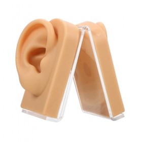POPETPOP 1 Jeu Modèle Doreille Manquin Produits Daffichage Oreille Mannequin Moule Daffichage Doreille Réutilisé Modèle D