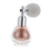 POPETPOP 3 Pièces Spray Paillettes Maquillage Corps Spray Maquillage Poudre Pulvérisateur Haute Brillance Paillettes Peinture