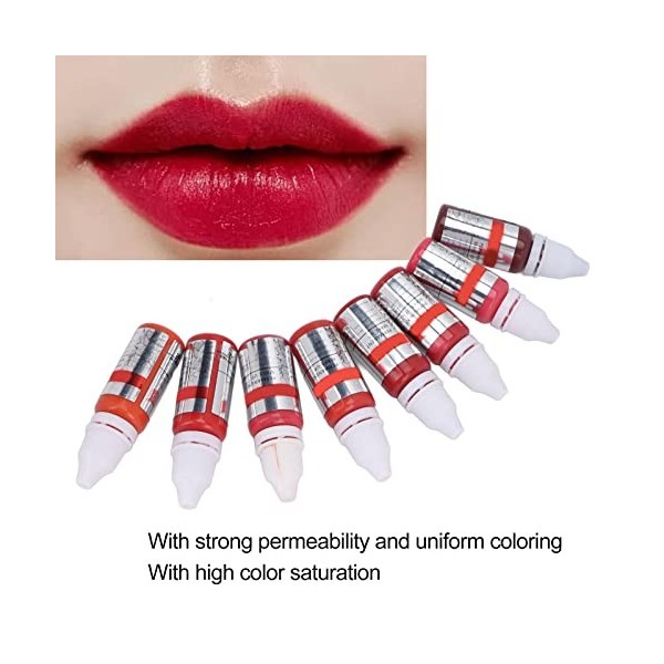 Pigments De Microblading Pour les Lèvres, Encre De Pratique De Tatouage De Couleur, Pigments De Maquillage Pour les Lèvres Se