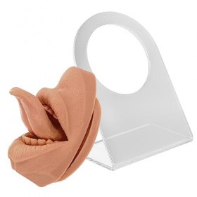 DOITOOL 1 Set Langue Nail Langue Modèle Parties Du Corps En Silicone Mannequin Bijoux Affichage Nez Fournitures Pour Ongles S