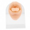 Didiseaon Modèle De Bouche Fausses Lèvres Parties Du Corps En Silicone Mannequin Fil DOreille Fausse Oreille Langue Jouet Po