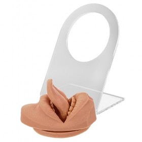 Angoily 1 Set Langue Nail Modèle De Langue Bijoux Affichage Nez Parties Du Corps En Silicone Pratique Du Perçage Parties Du C