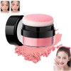 Oil Control Air Cushion Blush,Loose Powder Blush Air Cushion Blush,Natural Blusher For Cheeks,Air Cushion Cheek Blush,Highly 