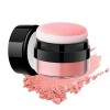 Oil Control Air Cushion Blush,Loose Powder Blush Air Cushion Blush,Natural Blusher For Cheeks,Air Cushion Cheek Blush,Highly 