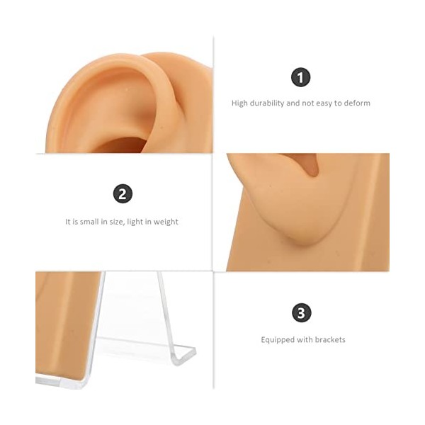 GLEAVI 2 Ensembles Oreilles De Présentoir De Bijoux Pratique Du Perçage Des Oreilles Modèle Flexible Doreille Piercing à Lo