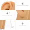 GLEAVI 2 Ensembles Oreilles De Présentoir De Bijoux Pratique Du Perçage Des Oreilles Modèle Flexible Doreille Piercing à Lo