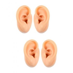 Beaupretty 4 Pièces Modèle Doreille Doreilles Accessoires Daffichage Kit Doreille Échantillon Doreille Artificielle Mann