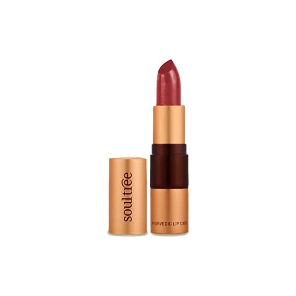 SoulTree Ayurvedic Lipstick, Sunshine 655, 4.5 g