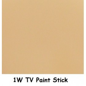 TV PaintStick Douille rotative 5 W