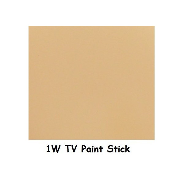TV PaintStick Douille rotative 5 W