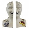 Phrenology Head Book Ends 2/4 