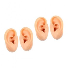 POPETPOP 4 Pièces Modèle Doreille Échantillon Doreille Artificielle Modèles Doreille Douce Trousse Doreille Percer Lorei
