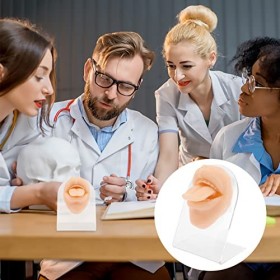 Housoutil Bouche Modèle Faux Oreille Kit Langue Piercing Modèle De Pratique Faux Lèvres Lèvres Piercing Mannequin Moule En Si