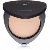 Bronzing Powder 01-Bronze 10 G