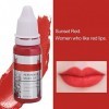 Lèvres Permanentes, Encre de Tatouage, 8 Pièces Dencre de Tatouage de Maquillage, Couleur Semi-permanente de Pigment de Micr