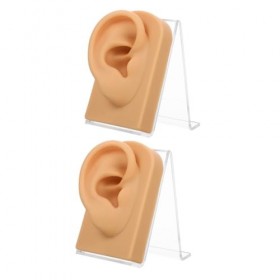 Beaupretty 2 Ensembles Daffichage De Bijoux Oreilles Acupuncture Modèle Humain Modèle Danatomie Perçage Pratique Décoration