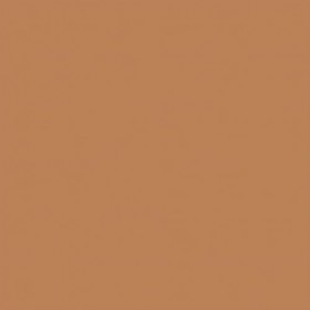 Black Opal Fond de Teint Camouflage 2-en-1 Truly Topaz 11,4 g