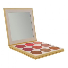 FRCOLOR 2 Pièces 9 Poudre Maquillage Palette Cosmétiques Poudre Blush Palette Visage Fards À Joues Maquillage Blush Kit Cosmé