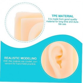 CLISPEED 1 Paire Modèle Doreille Modèle Dexpérience Oreille Daffichage De Léducation Outil En Silicone Outils Denseignem