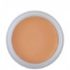 Kryolan Dermacolor Camouflage Creme 30g - Color D4