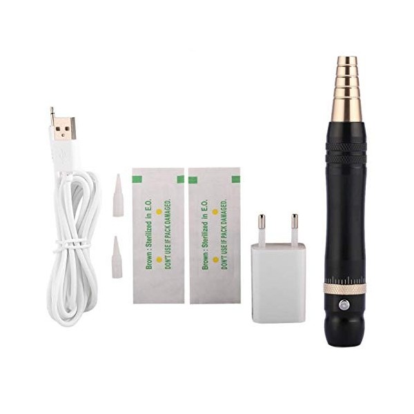 Machine de tatouage deyeliner de lèvre de sourcil de 2 types, Machine de stylo de tatouage électrique de stylo dalimentatio