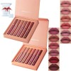 Havenlyn The Everlasting Liquid Lipstick Matte Set of 6, Highly Pigmented Lipstick Matte Long Lasting Smudge-proof Non-stick 