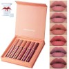 Havenlyn The Everlasting Liquid Lipstick Matte Set of 6, Highly Pigmented Lipstick Matte Long Lasting Smudge-proof Non-stick 