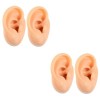 FRCOLOR 6 Pièces Modèle Doreille En Silicone Modèle De Corps Humain Fausses Oreilles Modèle Ponctuel Modèle Doreille Humain