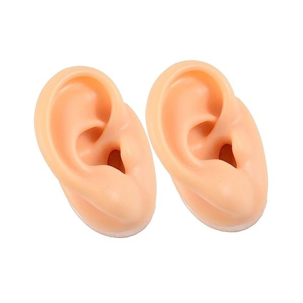 FRCOLOR 6 Pièces Modèle Doreille En Silicone Modèle De Corps Humain Fausses Oreilles Modèle Ponctuel Modèle Doreille Humain