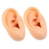 FRCOLOR 6 Pièces Modèle Doreille En Silicone Modèle De Corps Humain Fausses Oreilles Modèle Ponctuel Modèle Doreille Humain