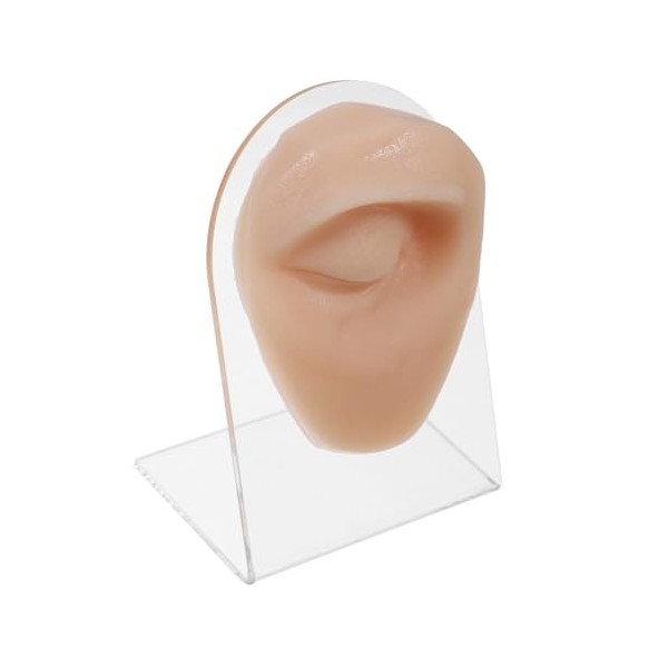 minkissy 2 Pièces Modèle Oeil Droit Silicone Formation Peau Maquillage Des Yeux Pratique Pratique Visage Meilleur Rose Jouet 