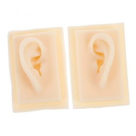 Gatuida 1 Paire Modèle Doreille Modèle Flexible Doreille Oreille Artificielle En Silicone Échantillon Daffichage Doreille