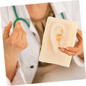 Gatuida 1 Paire Modèle Doreille Modèle Flexible Doreille Oreille Artificielle En Silicone Échantillon Daffichage Doreille