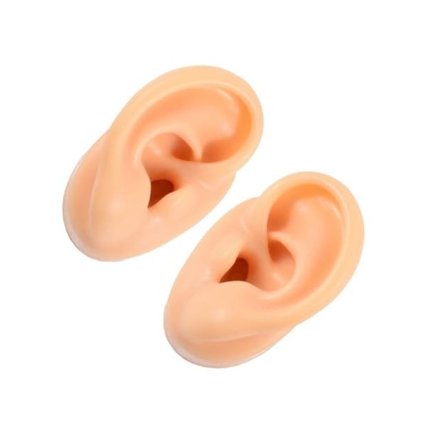 POPETPOP 6 Pièces Modèle Doreille Oreille Pratique Fausse Oreille Humaine Modèle Danatomie De Loreille Casque Accessoires 