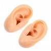 POPETPOP 6 Pièces Modèle Doreille Oreille Pratique Fausse Oreille Humaine Modèle Danatomie De Loreille Casque Accessoires 