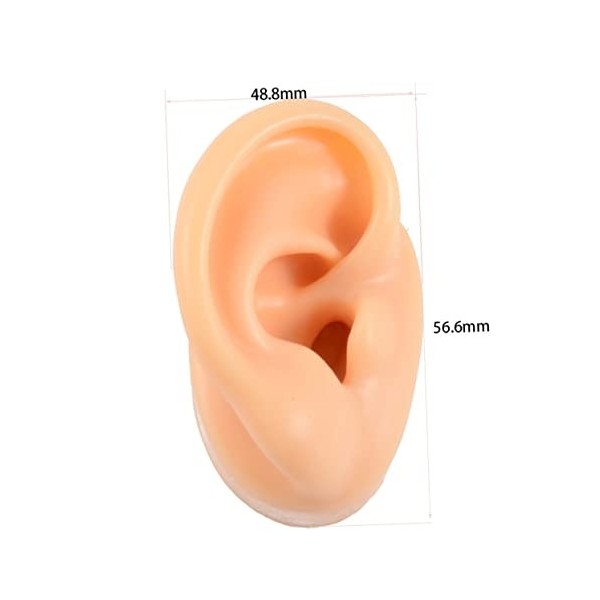 POPETPOP 6 Pièces Modèle Doreille Oreille Pratique Fausse Oreille Humaine Modèle Danatomie De Loreille Casque Accessoires 