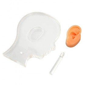 Modèle Daffichage Doreille Droite Modèle Doreille En Silicone, Modèle Doreille Droite En Silicone Avec Support En Acryliq