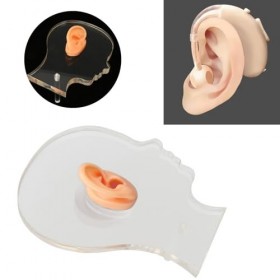 Modèle Daffichage Doreille Droite Modèle Doreille En Silicone, Modèle Doreille Droite En Silicone Avec Support En Acryliq