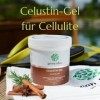 green idea - Gel Celustin - Gel anti-cellulite intense - Supprime lapparence de la peau « peau dorange » - 250 ml