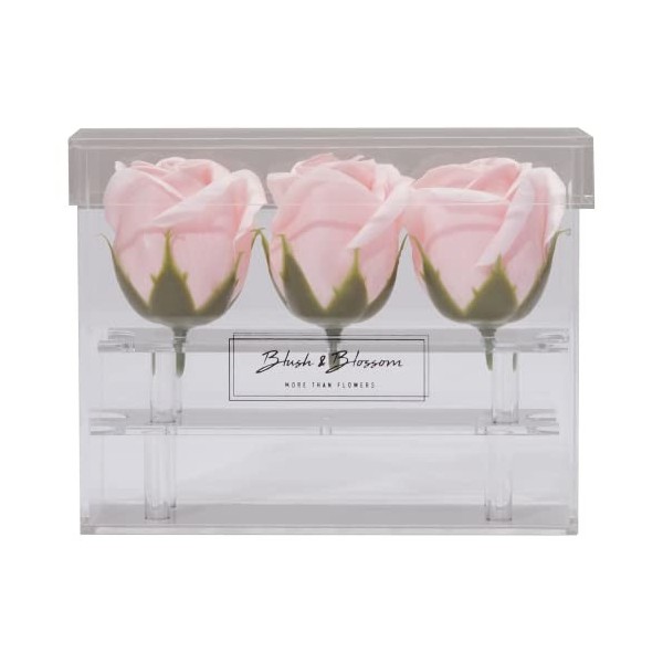 Blush & Blossom Rose Fleurs 3-Pièce dans Dégager Boîte, Blush