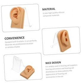 Housoutil 5 Ensembles Bijoux Oreilles Acupuncture Modèle Humain Oreille Modèle Danatomie Silicone Corps Humain Modèle Bureau