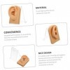 Housoutil 5 Ensembles Bijoux Oreilles Acupuncture Modèle Humain Oreille Modèle Danatomie Silicone Corps Humain Modèle Bureau