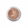 Bare Escentuals I.D. BareMinerals multi min-raux Tasking SPF20 Anti-cernes ou de base Eyeshadow - Bisque - 2g/0.07oz