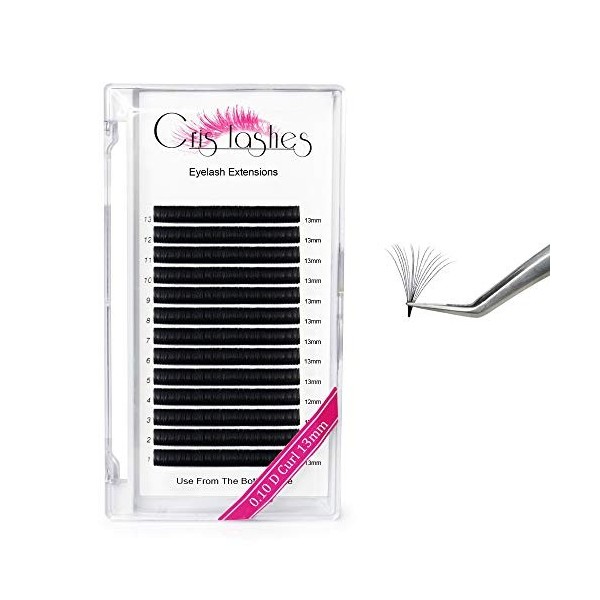 Extension Cils Coloré Easy Fan Lashes Crislashes Violet Versicolore Volume Extensions de cils Coloured Eyelash Extensions Omb