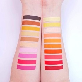 Moon CreationsMaquillage professionnel visage et corps | Moules à gâteaux professionnels avec peinture colorée pour maquillag