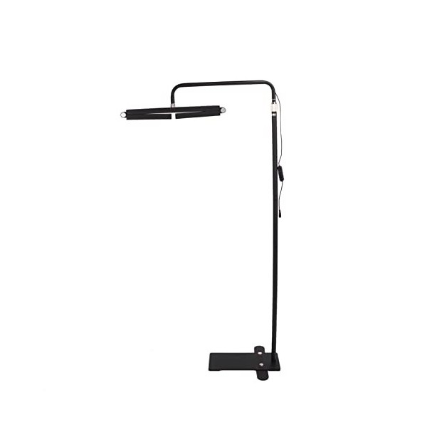 Lumière Debout de Cil de Plancher, Lampadaire de Cil LED 10 luminosité 3200K à 5600K Base Fixe Détachable pour des Salons de 