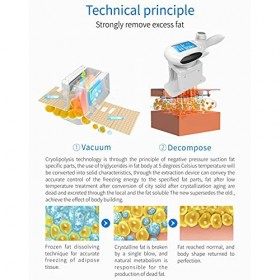 SFLCYGGL Cryolipolyse Réduction de la Graisse Perte de Poids Machine Congélation des Graisses Corps Minceur Machine Froid Ant
