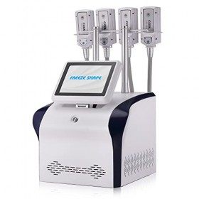 Contour de carrosserie Criolipolisis pagaye de sculpture corporelle, cryoskin EMS RF Fat Freezing Slincming Device de perte d